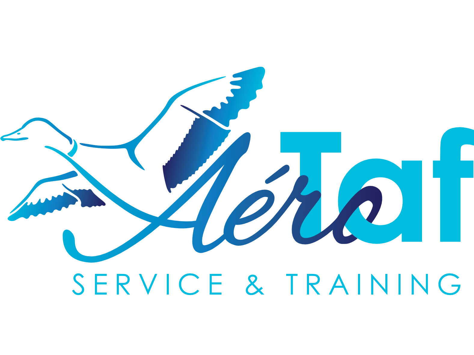 Logo AéroTaf Service & Training